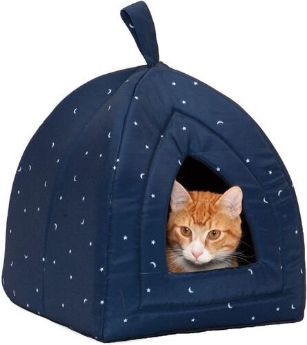 Small Pet Tent in Night Sky