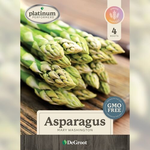 Asparagus - 'Mary Washington' 6 Roots