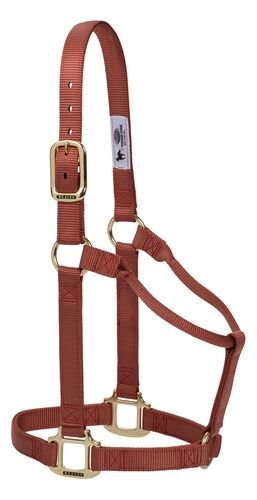 1 Inch Original Non-Adjustable Average Halter