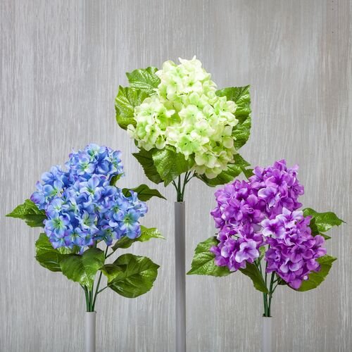 Assorted 21" Memorial Hydrangea Bush