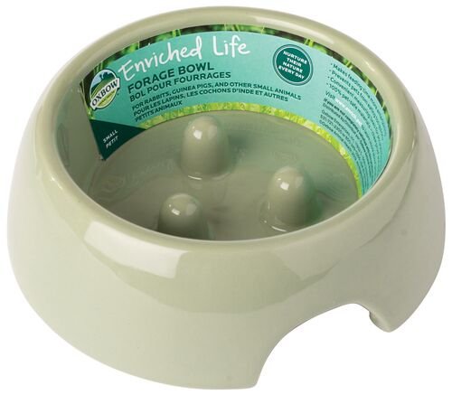 Enriched Life Forage Bowl in Green - Small