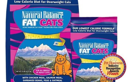 Fat Cats Chicken & Salmon Dry Cat Formula