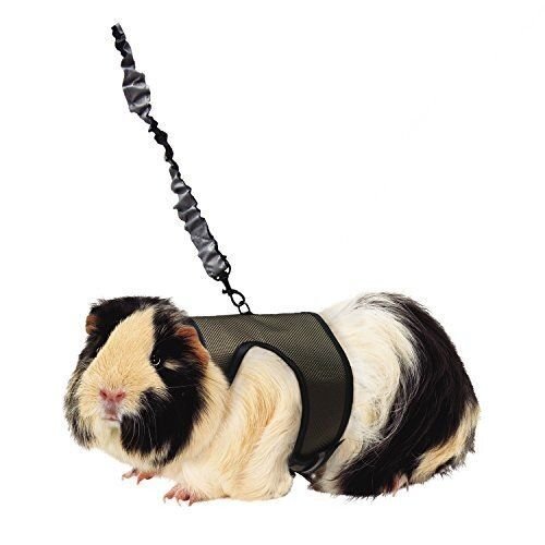 Comfort Harness & Stretchy Leash - Sze  XL