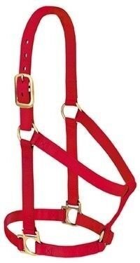 Basic 1 Inch Non-Adjustable Halter