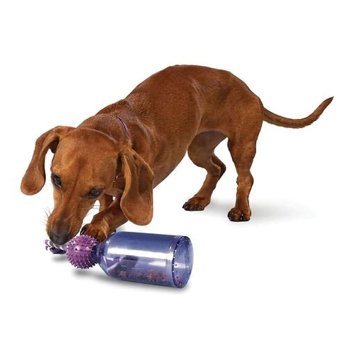 Busy Buddy Tug-A-Jug Small Dog Toy