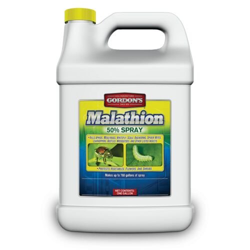 Malathion 50% Spray - 1 Gallon