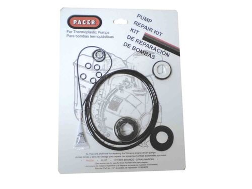 Pump Seal Repair Kit