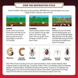 GrubEX Season-Long Grub Killer