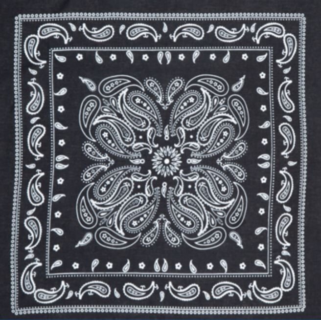 22" x 22" Paisley Bandana