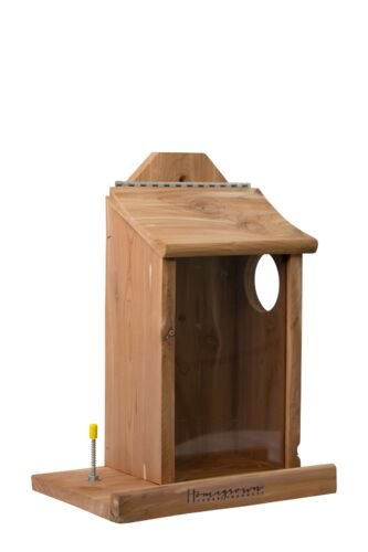 Squirrel Home Grown Cedar Feeder