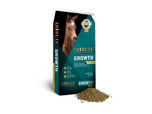 Growth Pelleted Horse Feed - 50 lb