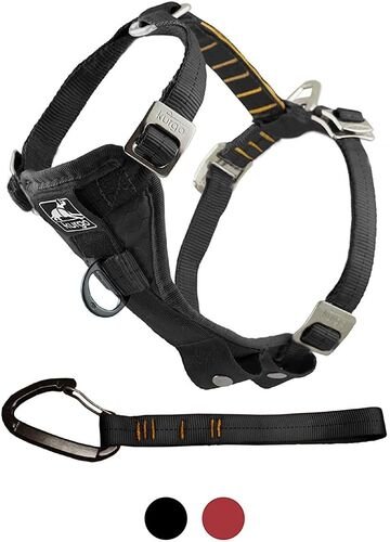 Large Tru-Fit Crash Tested Dog Harness 50-80 lbs