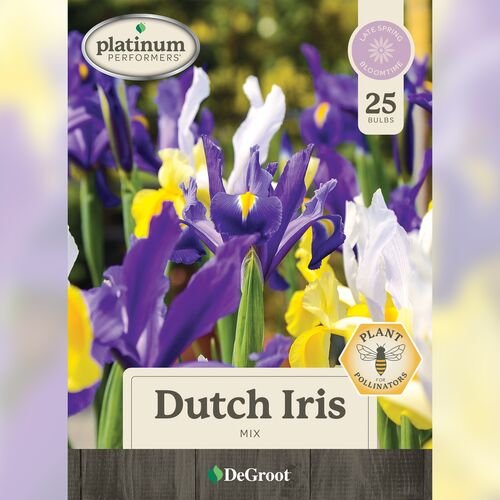 Dutch Iris Mix 25 Bulbs