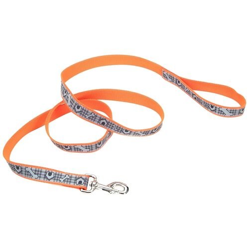 1 x 6' Lazer Brite Reflective Orange DogHouses Dog Leash