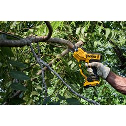 20V Pruner