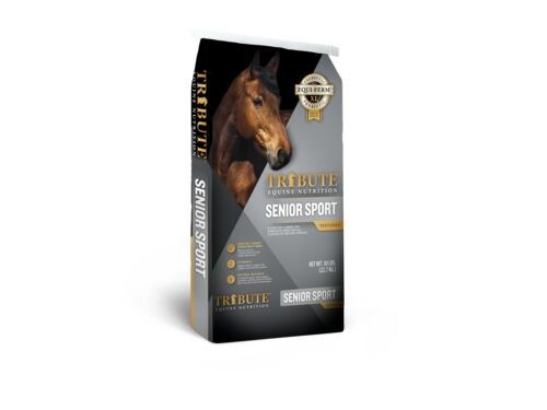 Senior Sport Textured Horse Feed - 50 lb