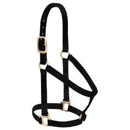 Basic 1 Inch Non-Adjustable Halter