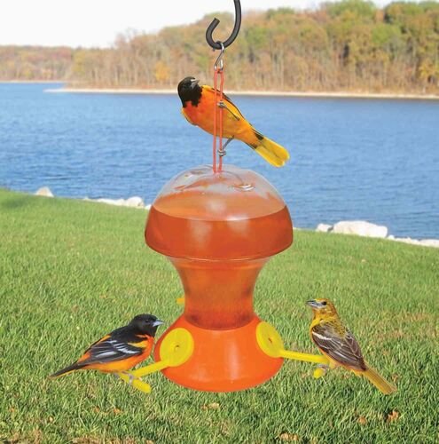 Fliteline Oriole Bird Feeder - 52 oz