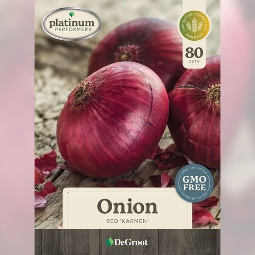 Onion - Red 'Karmen' 80 Sets