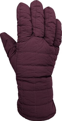 Assorted Women's Ski Gloves with 40 Gram Thinsulate