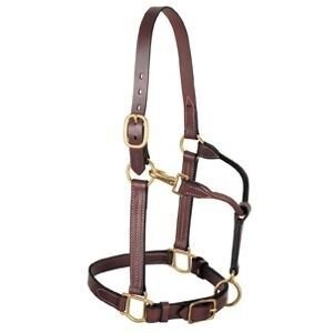 3-In-1 All Purpose Halter