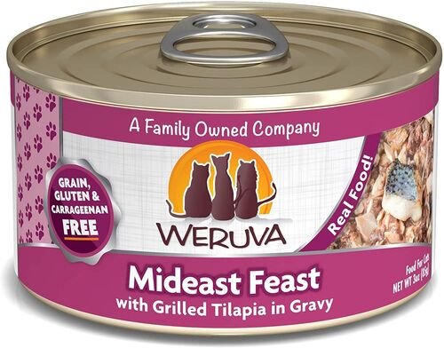 Grilled Tilapia Mideast Feast Canned Cat Food - 3 oz