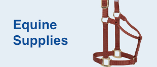 Equine Supplies & Tack