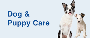 Dog & Puppy Care