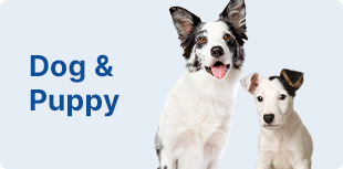 Dog & Puppy Care